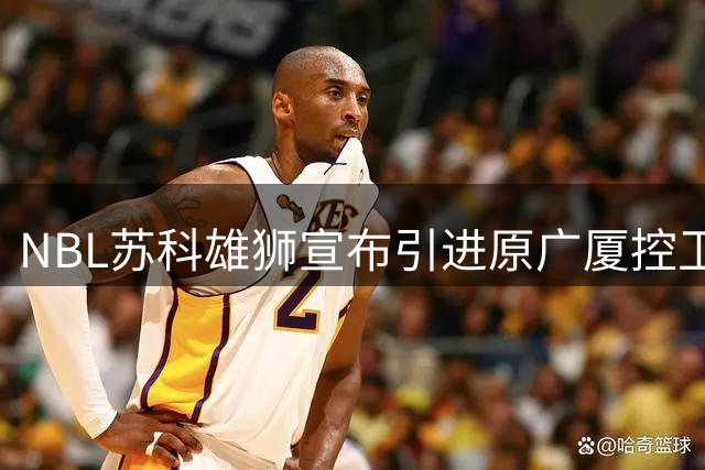 NBL苏科雄狮宣布引进原广厦控卫许可